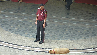 犬と警備員