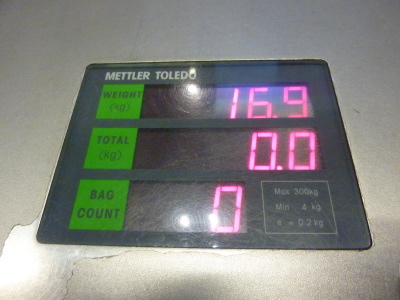 aו16.9kg