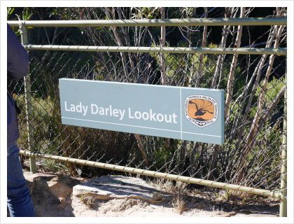 Lady Darley Lookout