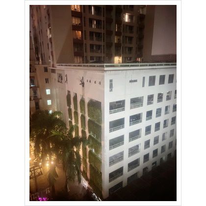 夜の定点観測